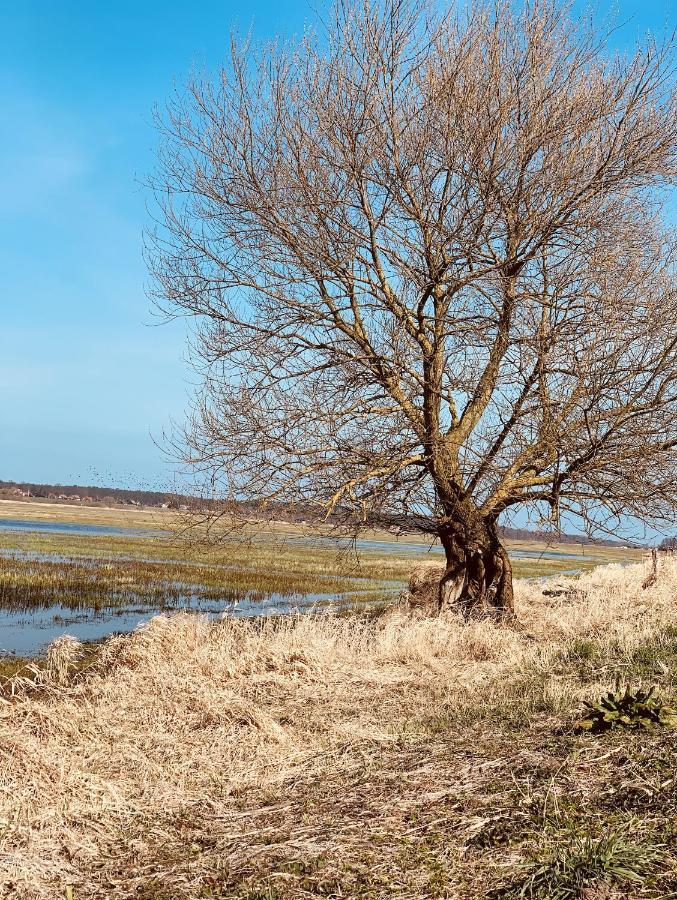 Tilia Authentic Home, Butikowe Apartamenty Nad Morzem Mikoszewo Luaran gambar