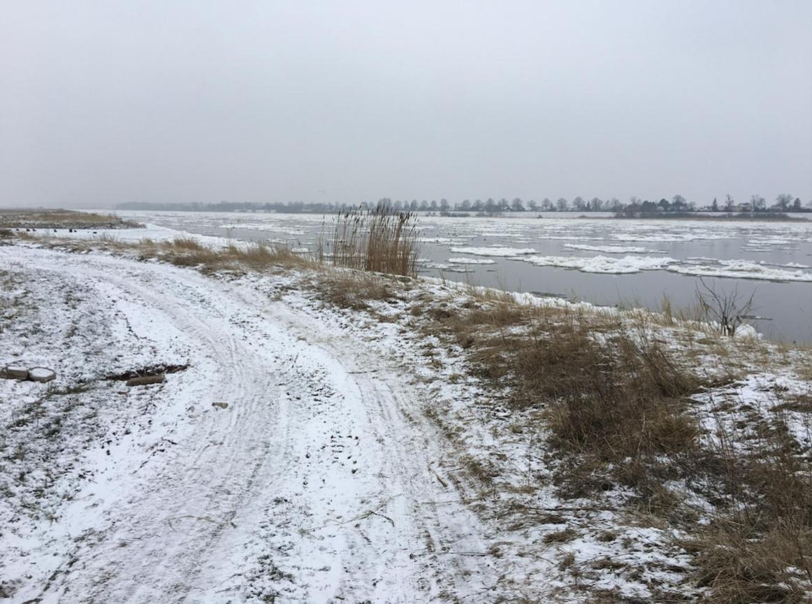 Tilia Authentic Home, Butikowe Apartamenty Nad Morzem Mikoszewo Luaran gambar
